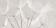 Керамический декор Cersanit Avangarde серый AV2L091DT 29,8x59,8 см