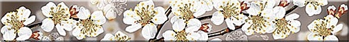 Бордюр Azori Amati Sakura 6,2х50,5см бордюр азори amati sakura 50 5x6 2