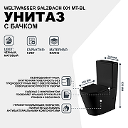 Унитаз компакт WeltWasser Salzbach 001 MT-BL 10000003765 Черный матовый с бачком и сиденьем Микролифт-1
