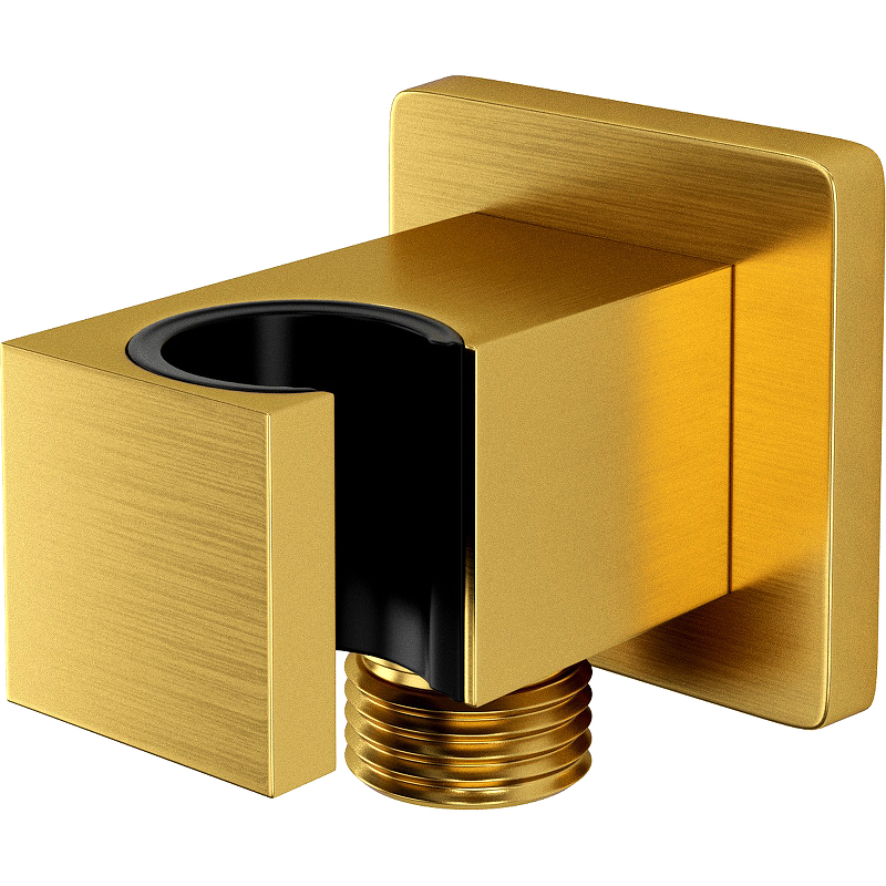Шланговое подключение WasserKRAFT Aisch A184 Золото матовое боковая панель wasserkraft aisch 55p10 rp100 1000x2000 мм прозрачная золото