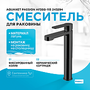 Смеситель для раковины Aquanet Passion AF300-11B 243294 Черный