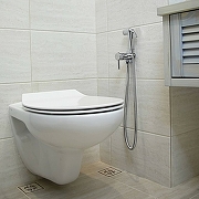 Гигиенический душ со смесителем Paini Imola 53CR442RRU ABS Хром-2