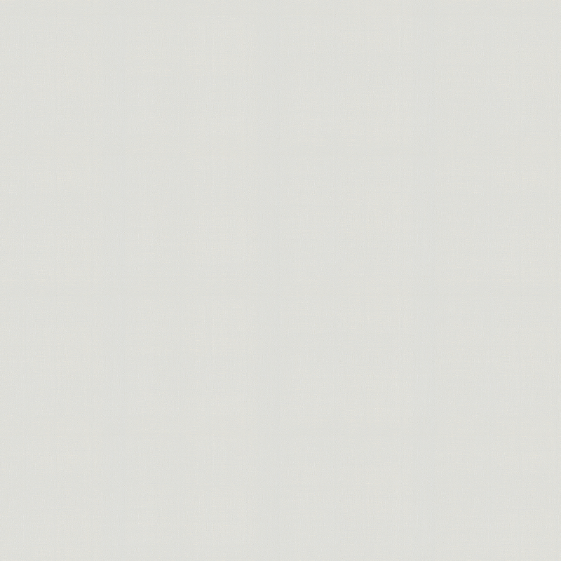 Обои Andrea Grifoni Palazzo Peterhof 7009-1 Флизелин (1,06*10,05) Белый, Однотонные обои andrea grifoni palazzo peterhof 7003 2 флизелин 1 06 10 05 серый бежевый штукатурка