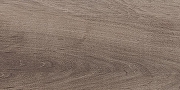 Керамическая плитка Laparet Plant коричневый настенная 08-01-15-2685 20х40 см