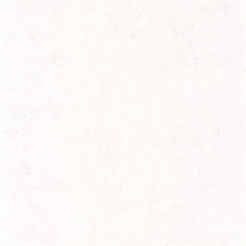 Обои Caselio Beton 101480000 Винил на флизелине (0,53*10,05) Белый, Штукатурка цена и фото