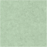 Обои Caselio Beton 101487516 Винил на флизелине (0,53*10,05) Зеленый, Штукатурка