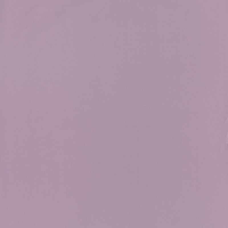цена Обои детские Casadeco Rose Nino 29695217 Винил на флизелине (0,53*10,05) Фиолетовый, Однотонные