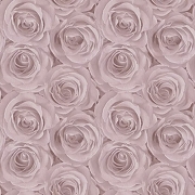 Обои AS Creation Podium 37644-1 Винил на флизелине (1,06*10,05) Розовый, Цветы