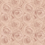 Обои AS Creation Podium 37644-2 Винил на флизелине (1,06*10,05) Розовый, Цветы