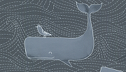 Обои детские BN-INTERNATIONAL Doodleedo 220733 Винил на флизелине (0,53*10,05) Серый/Синий, Животные-1