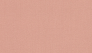 Обои детские BN-INTERNATIONAL Doodleedo 220813 Винил на флизелине (0,53*10,05) Розовый, Однотонные-1