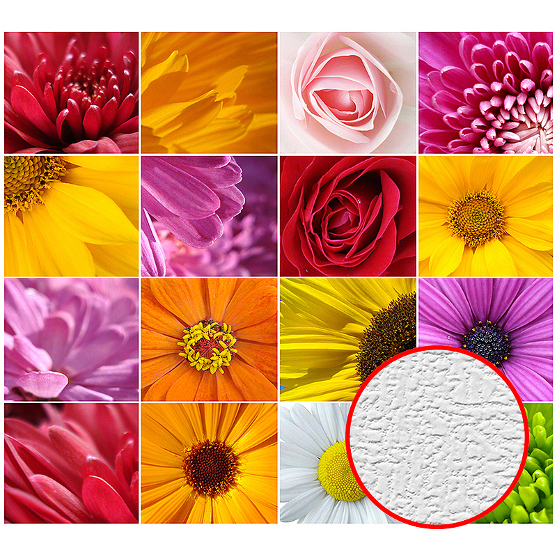 Фотообои Divino B-098 Фактура холст Винил на флизелине (3*2,7) Разноцветный, Цветы