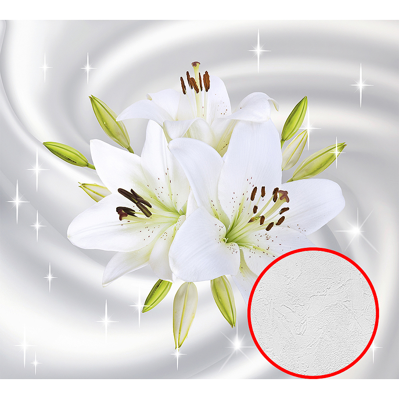 Фотообои Divino P-102 Фактура живопись Винил на флизелине (3*2,7) Белый, Цветы