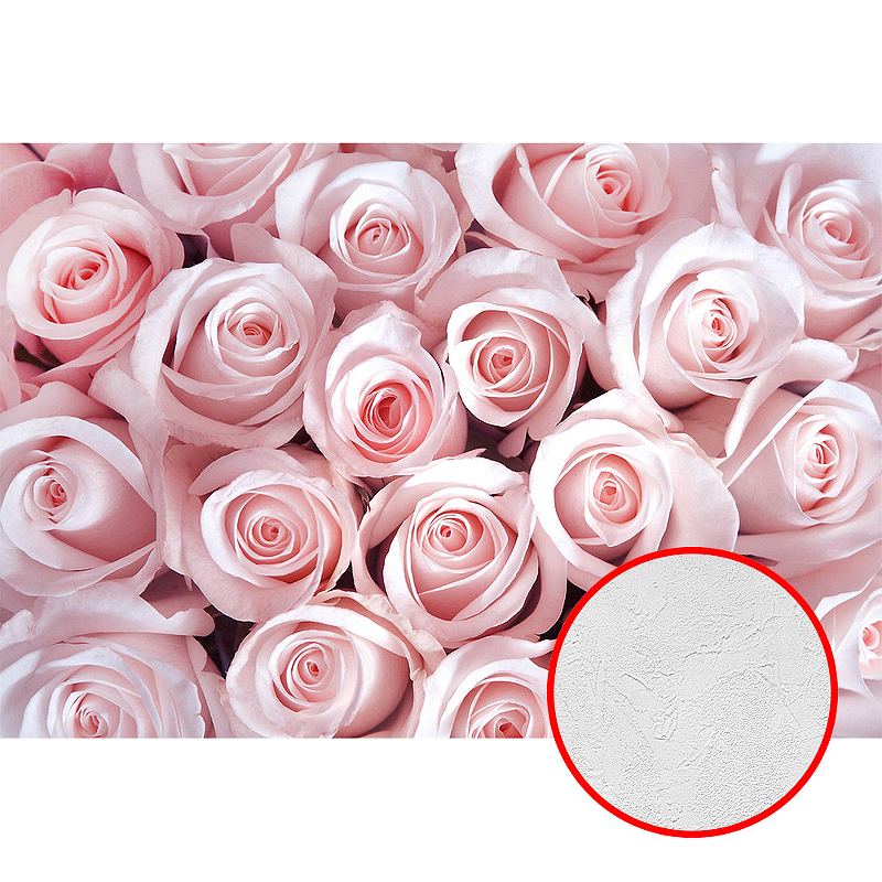 Фотообои Divino T-159 Фактура живопись Винил на флизелине (4*2,7) Розовый, Цветы