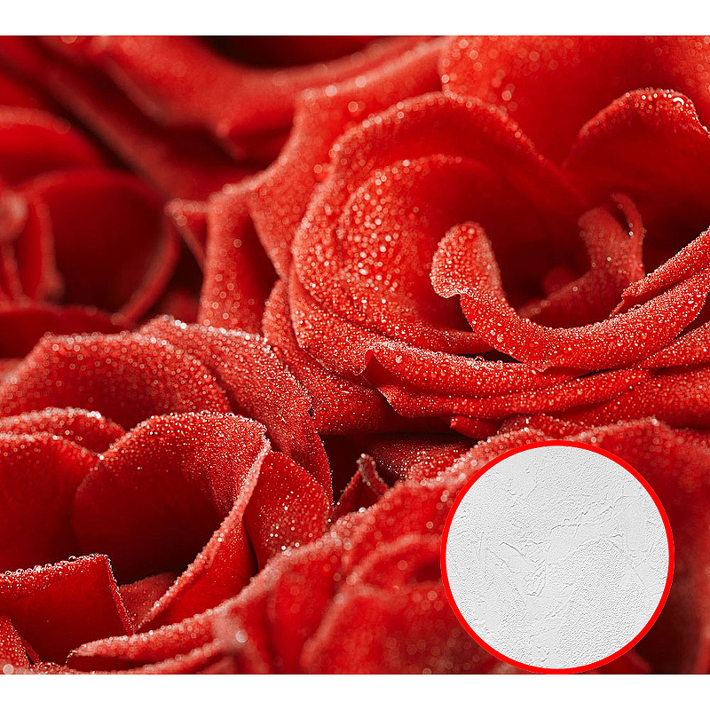 Фотообои Divino E-023 Фактура живопись Винил на флизелине (3*2,7) Красный, Цветы