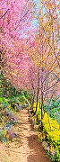 Фотообои Divino L-033 Фактура холст Винил на флизелине (1*2,7) Разноцветный, Пейзаж-1