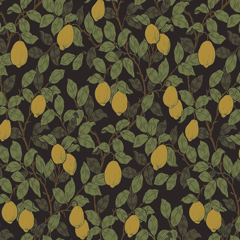 Обои LOYMINA Equator QTR3 011 Флизелин (1*10,05) Зеленый/Черный/Желтый, Листья/Фрукты обои loymina equator qtr3 001 флизелин 1 10 05 розовый белый листья фрукты