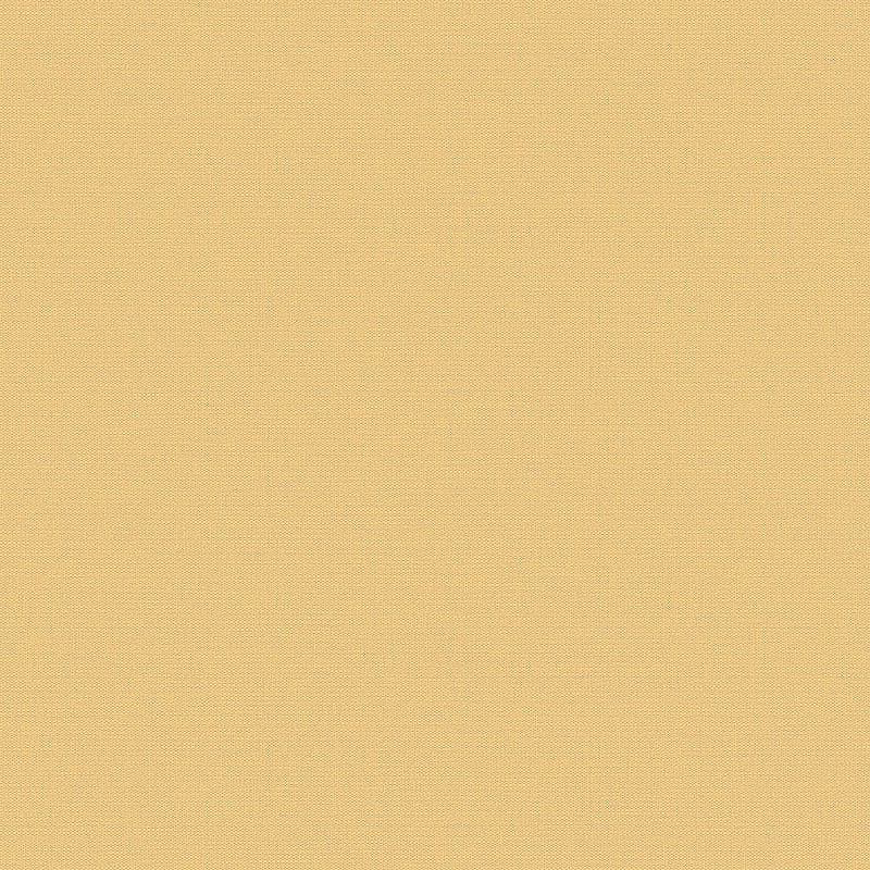 Обои LOYMINA Equator QTR8 002/2 Флизелин (1*10,05) Желтый, Однотонные/Рогожка