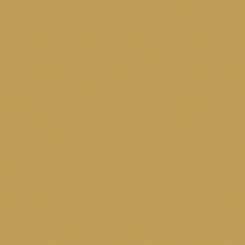 Обои LOYMINA Equator QTR8 004/3 Флизелин (1*10,05) Желтый, Однотонные/Рогожка