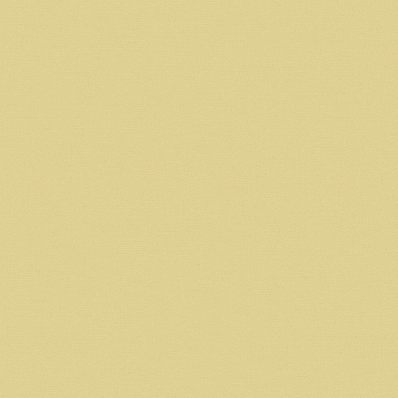 Обои LOYMINA Equator QTR8 005/3 Флизелин (1*10,05) Желтый, Однотонные/Рогожка