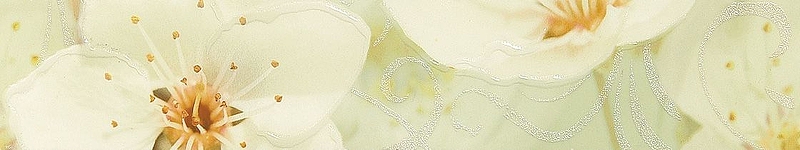 Керамический бордюр Шахтинская плитка (Unitile) Сакура зеленый 01 7,5х40 см