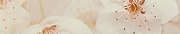 Керамический бордюр Шахтинская плитка (Unitile) Сакура коричневый 01 7,5х40 см
