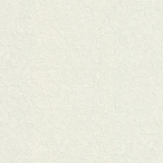 Обои ZAMBAITI PARATI Trussardi VI 46034 Винил на флизелине (1,06*10,05) Белый/Серый, Штукатурка