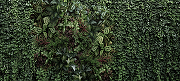 Фреска Ortograf Oasis 32747 Фактура бархат FX Флизелин (6*2,7) Черный/Зеленый, Листья-1