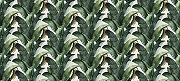 Фреска Ortograf Oasis 32766 Фактура бархат FX Флизелин (6*2,7) Белый/Зеленый, Листья-1