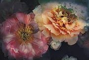 Фреска Ortograf Flower Dreams 31608 Фактура бархат FX Флизелин (4*2,7) Черный/Розовый/Оранжевый, Цветы-1