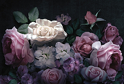 Фреска Ortograf Flower Dreams 31631 Фактура бархат FX Флизелин (4*2,7) Черный/Сиреневый/Розовый, Цветы-1