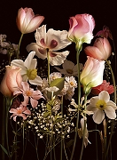 Фреска Ortograf Flower Dreams 31633 Фактура флок FLK Флизелин (2*2,7) Черный/Разноцветный, Цветы-1