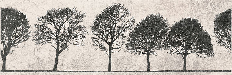 Керамический декор Meissen Willow Sky деревья светло-серый O-WIL-WID521-14 29x89 см wil tirion collins night sky