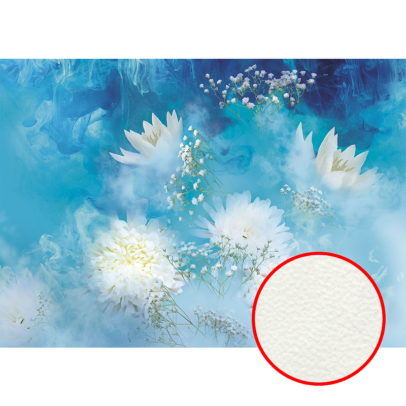 цена Фреска Ortograf Flower Dreams 31603 Фактура флок FLK Флизелин (3,8*2,7) Голубой/Белый, Цветы