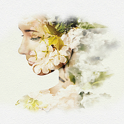Фреска Ortograf Flower Dreams 31653 Фактура бархат FX Флизелин (1,6*2,7) Черный/Белый, Цветы-3