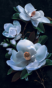 Фреска Ortograf Flower Dreams 31654 Фактура бархат FX Флизелин (1,6*2,7) Черный/Голубой, Цветы-1