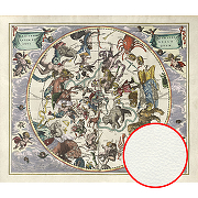 Фреска Ortograf Карты мира 3660 Фактура флок FLK Флизелин (3,2*2,7) Разноцветный, Карты/Животные