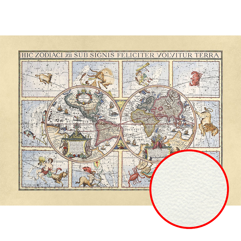 Фреска Ortograf Карты мира 4299 Фактура флок FLK Флизелин (3,4*2,4) Разноцветный, Карты/Животные