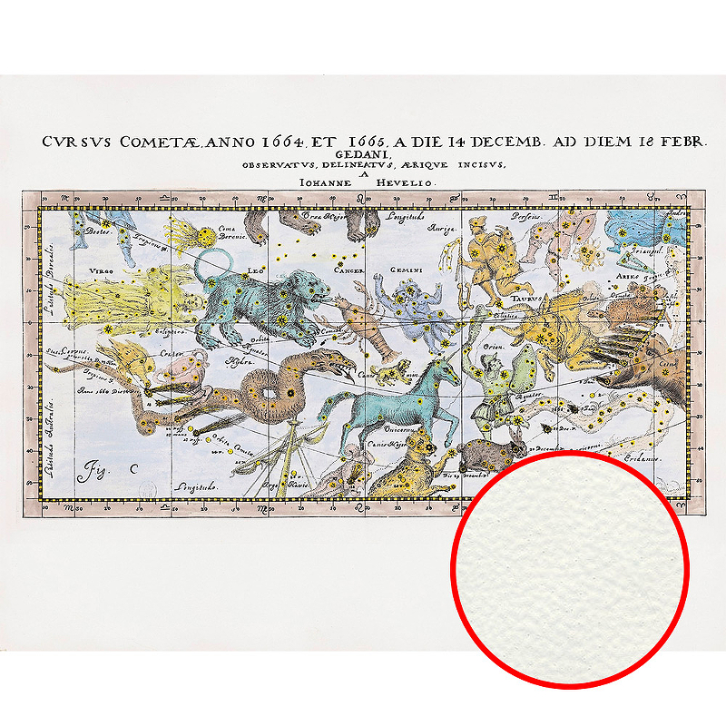 Фреска Ortograf Карты мира 30089 Фактура флок FLK Флизелин (3,4*2,7) Разноцветный, Карты/Животные