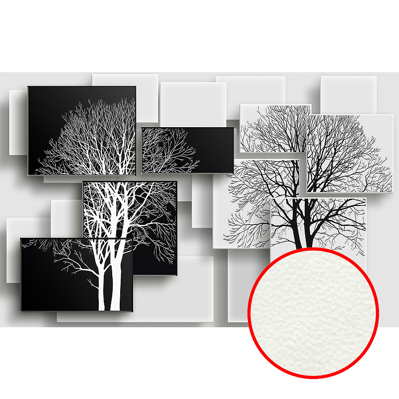 Фреска Ortograf 3D 6688 Фактура флок FLK Флизелин (4,2*2,7) Черный/Белый, Деревья/Геометрия/Абстракция