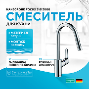 Смеситель для кухни Hansgrohe Focus 31815000 Хром