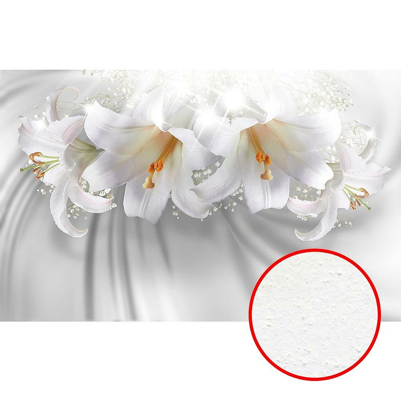 Фреска Ortograf 3D 6716 Фактура бархат FX Флизелин (4,3*2,7) Белый, Цветы