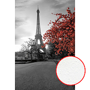Фреска Ortograf Париж 4779 Фактура бархат FX Флизелин (1,8*2,7) Серый/Розовый, Город/Цветы