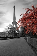 Фреска Ortograf Париж 4779 Фактура флок FLK Флизелин (1,8*2,7) Серый/Розовый, Город/Цветы-1