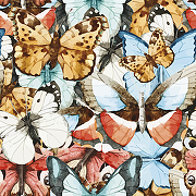 Фреска Ortograf Животные 5908 Фактура бархат FX Флизелин (2,7*2,7) Разноцветный, Бабочки-1