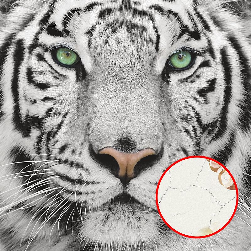 Фреска Ortograf Животные 10531 Фактура кракелюр серебро FK-S Флизелин (2,4*2,4) Белый/Черный, Животные