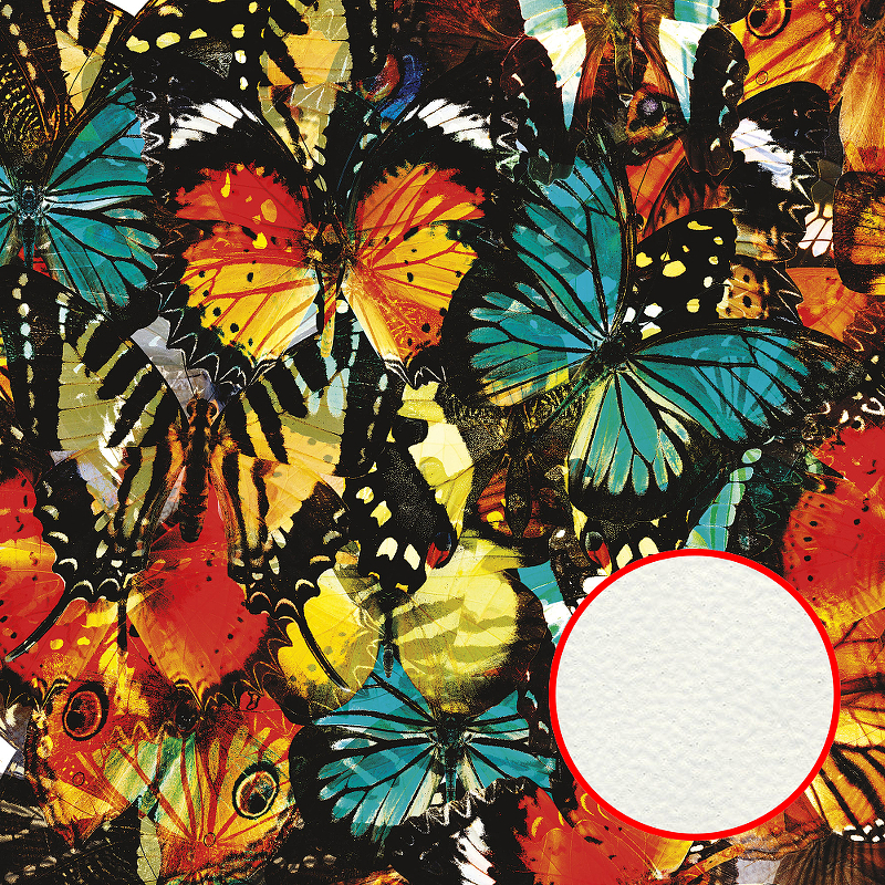 Фреска Ortograf Животные 5909 Фактура флок FLK Флизелин (2,7*2,7) Разноцветный, Бабочки