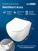 Комплект унитаза WellWant Aura WWU01122W с инсталляцией Geberit Duofix Delta UP100 458.124.21.1 с сиденьем Микролифт и клавишей смыва Хром-2