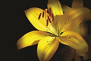 Фреска Ortograf Цветы 3933 Фактура флок FLK Флизелин (4*2,7) Желтый/Черный, Цветы-1