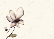 Фреска Ortograf Цветы 4342 Фактура флок FLK Флизелин (3,7*2,7) Белый/Бежевый, Цветы-1